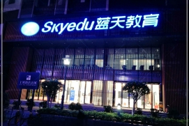 成功案例